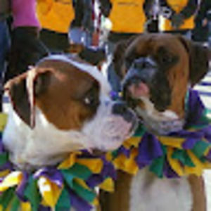 Meet your Posher, Mary